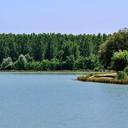 Beautiful House With Character In Village With Garden *