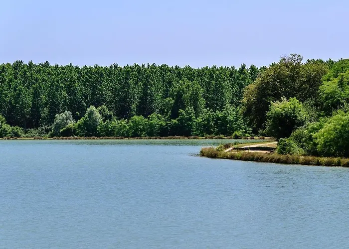 Beautiful House With Character In Village With Garden *